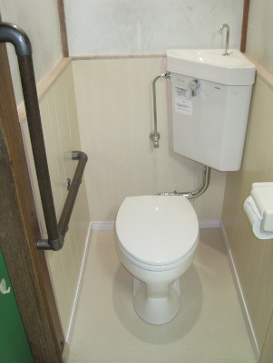 Water Switching To Toilet Sink Combo Sustainable Living